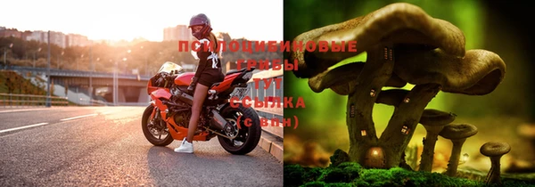 мескалин Сибай