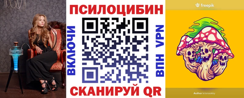 где можно купить   Сурск  Псилоцибиновые грибы Psilocybe 