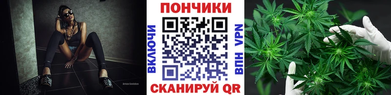 ссылка на мегу маркетплейс  Сурск  Конопля OG Kush 